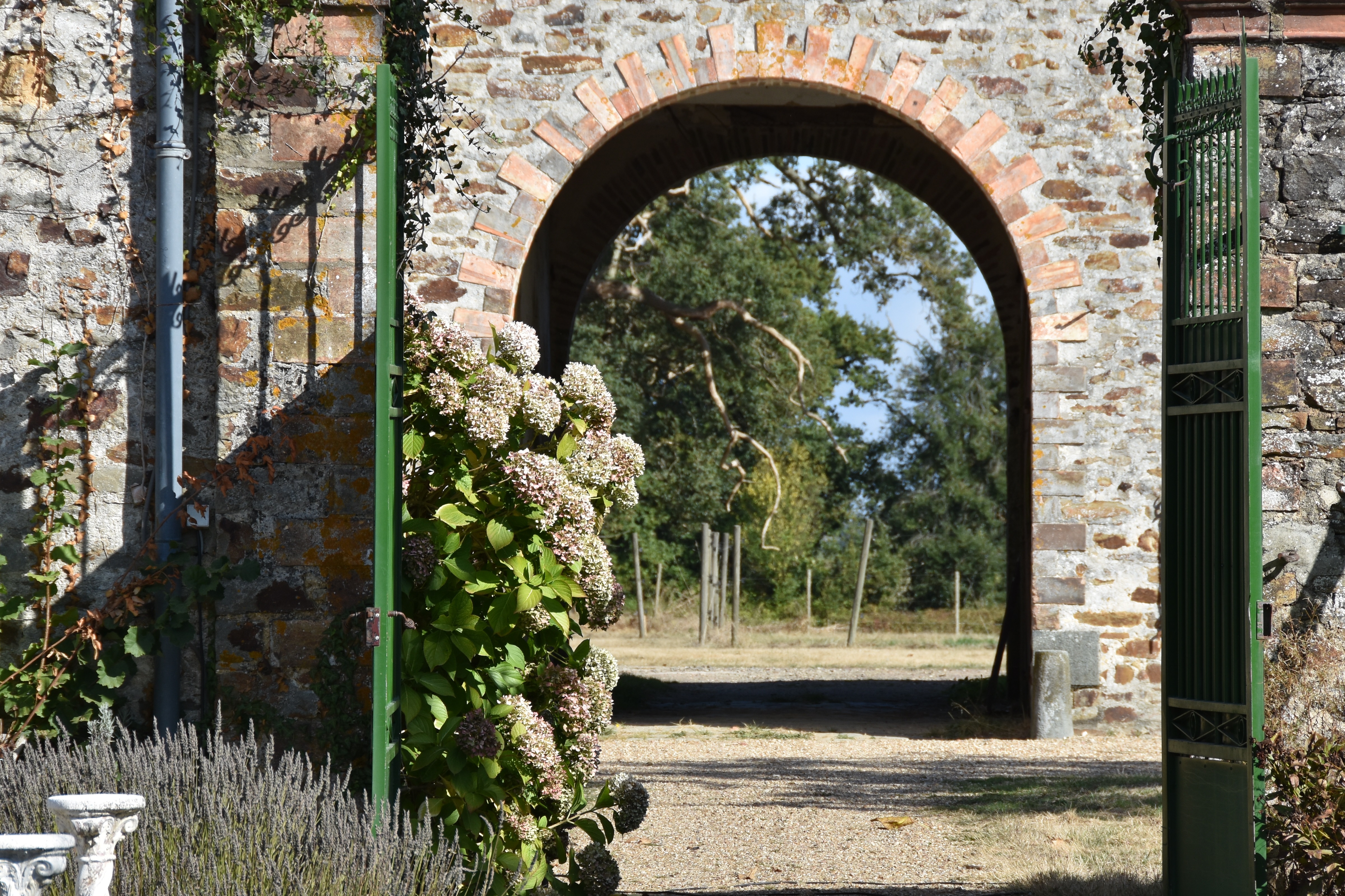 Stone archway with a view of a garden pathway and greenery beyond. On the left, white hydrangeas and lavender are in bloom. The scene is framed by rustic brick and stone with a hint of green iron gate on the right.